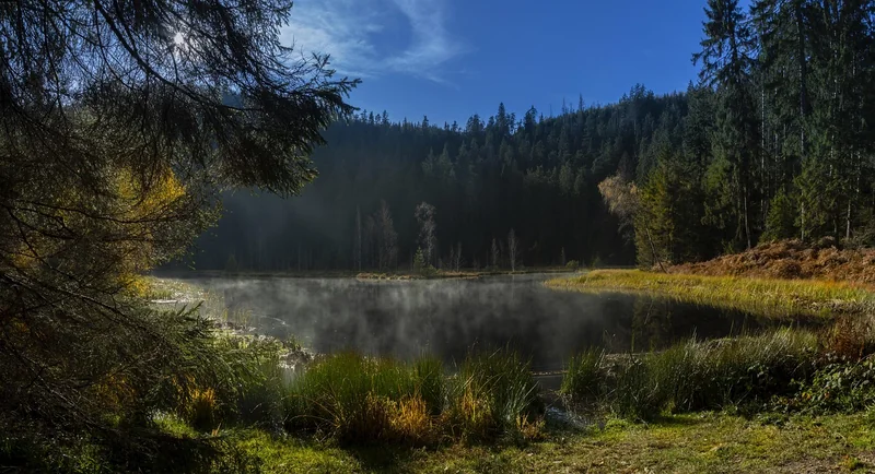 Schwarzwald